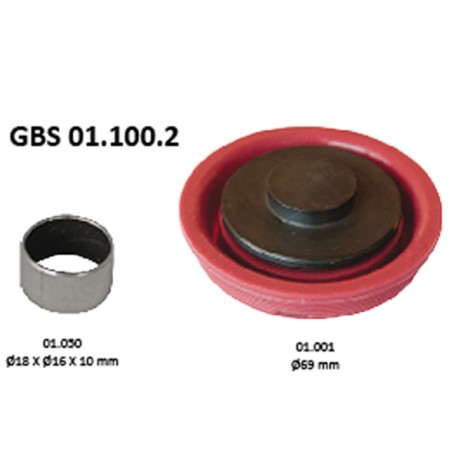 GBS 01.100.2 TAPPETS KIT