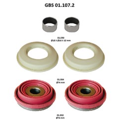 GBS 01.107.2 TAPPETS KIT