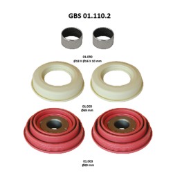 GBS 01.110.2 TAPPETS KIT