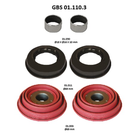 GBS 01.110.3 TAPPETS KIT