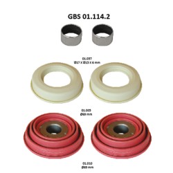 GBS 01.114.2 TAPPETS KIT