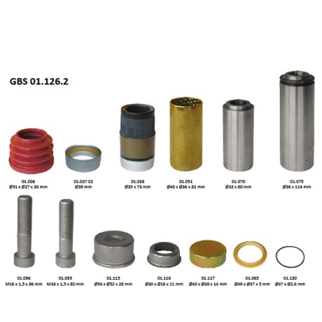 GBS 01.126.2 GUIDE & SEAL KIT