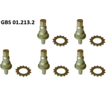 GBS 01.213.2 PINION SHAFT