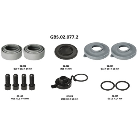 GBS.02.077.2 OVERHAUL SEAL KIT