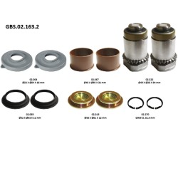 GBS.02.163.2 ADJUSTER TAPPET KIT