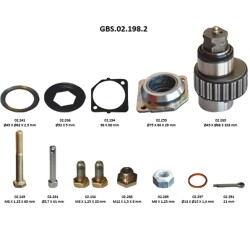 GBS.02.198.2 CALIPER SHAFT KIT