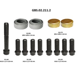GBS.02.211.2 BOLT & DUST COVER KIT