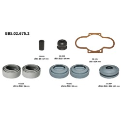GBS.02.675.2 OVERHAUL SEAL KIT