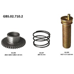 GBS.02.710.2 ADJUSTER TAPPET KIT