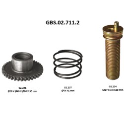 GBS.02.711.2 ADJUSTER TAPPET KIT