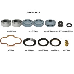 GBS.02.715.2 OVERHAUL SEAL KIT