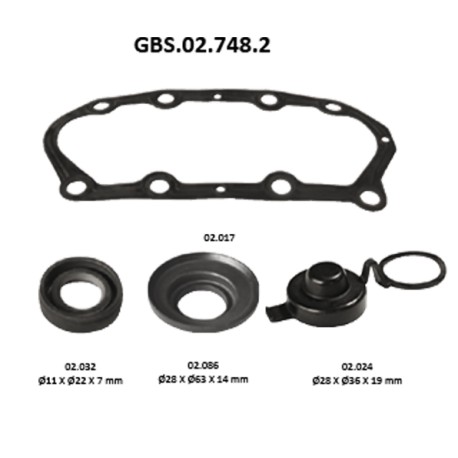 GBS.02.748.2 COVER PLATE SEAL KIT