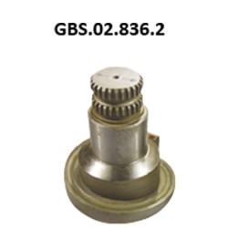 GBS.02.836.2 CALIPER SHAFT
