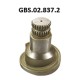 GBS.02.837.2 CALIPER SHAFT
