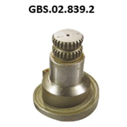 GBS.02.839.2 CALIPER SHAFT