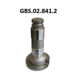 GBS.02.841.2 CALIPER SHAFT