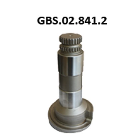 GBS.02.841.2 CALIPER SHAFT