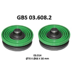GBS 03.608.2 TAPPET KIT