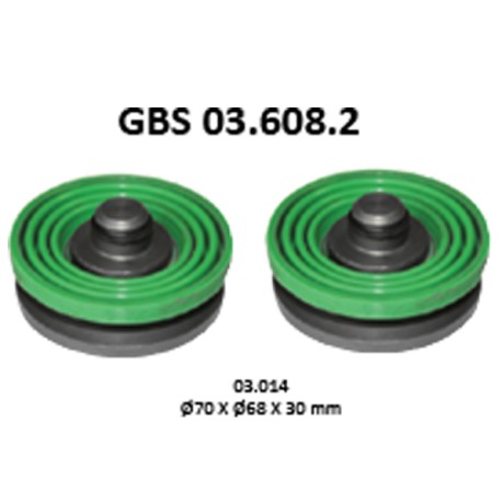 GBS 03.608.2 TAPPET KIT
